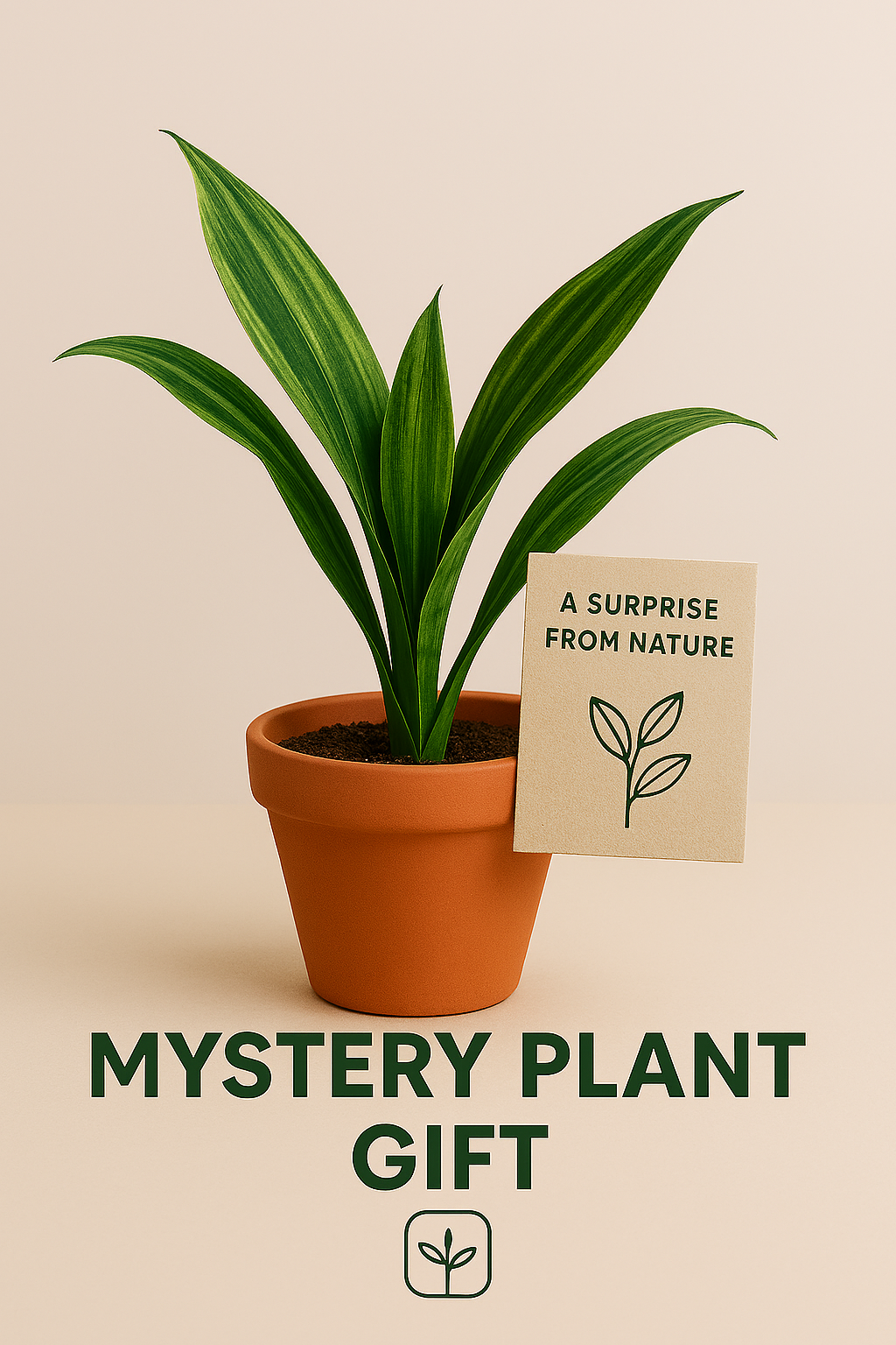 Surprise Plant